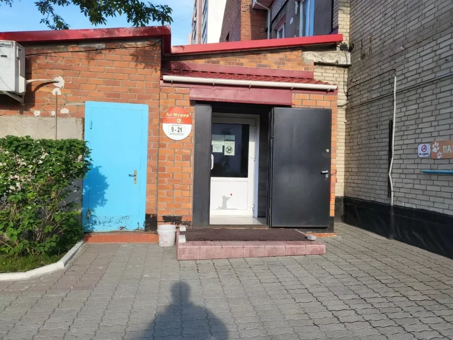 Ветеринарная клиника Ле'Муррр в Владивостоке: Зоомагазин, Животные,