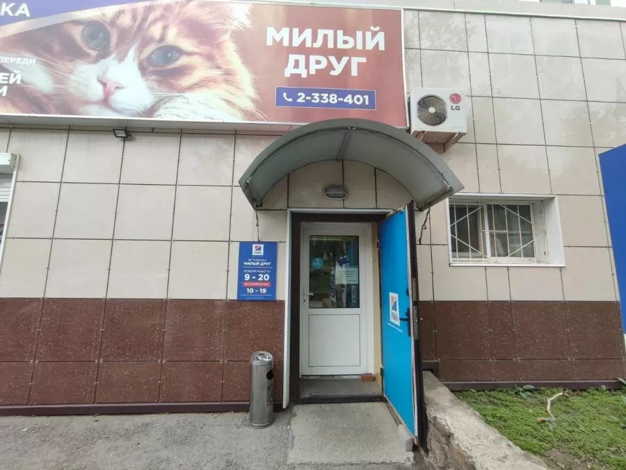 Ветеринарная клиника Милый друг в Владивостоке: Ветеринарная клиника, Ветклиника, Питомцы, Зоомагазин,