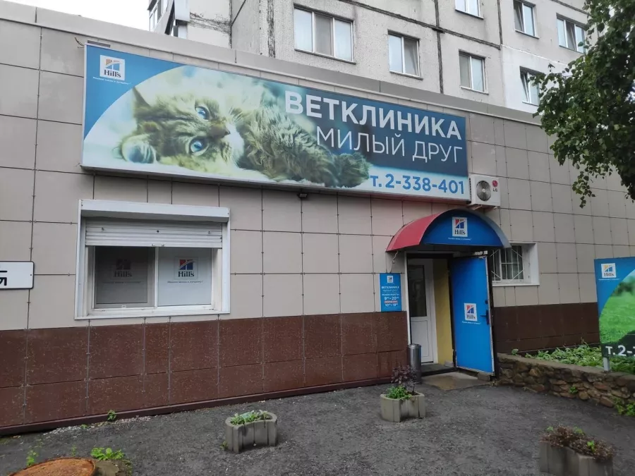 Ветеринарная клиника Милый друг в Владивостоке: Ветеринарная клиника, Ветклиника, Питомцы, Зоомагазин,