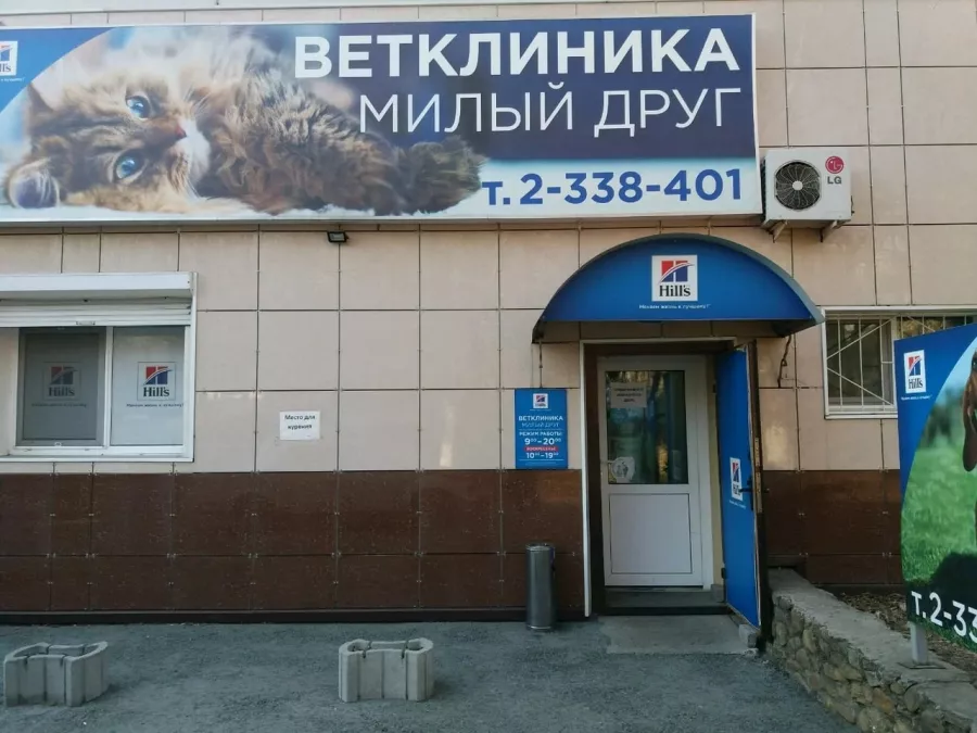 Ветеринарная клиника Милый друг в Владивостоке: Ветеринарная клиника, Ветклиника, Питомцы, Зоомагазин,