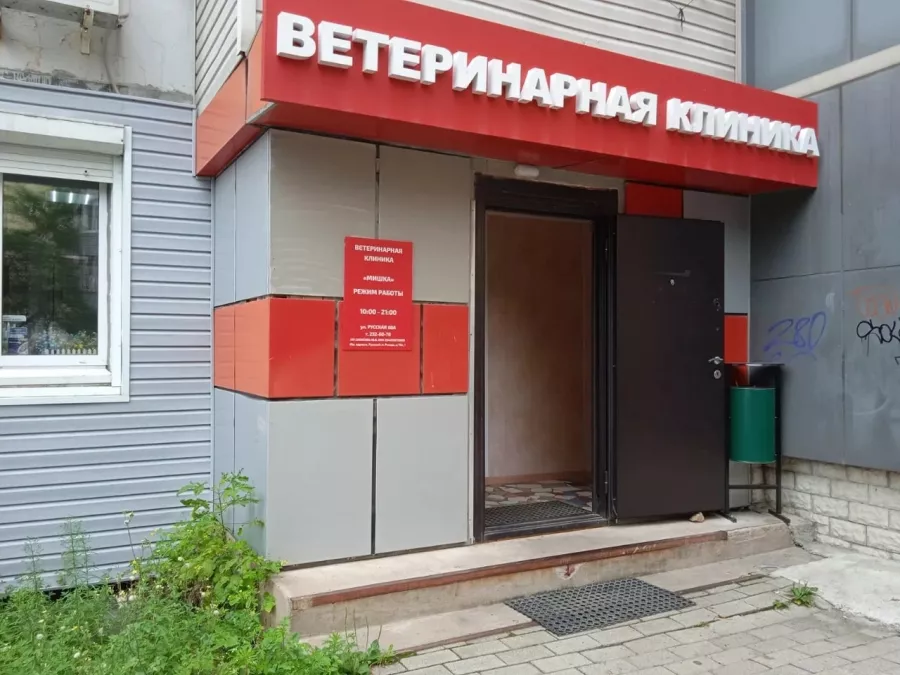 Ветеринарная клиника Мишка в Владивостоке: Животные,