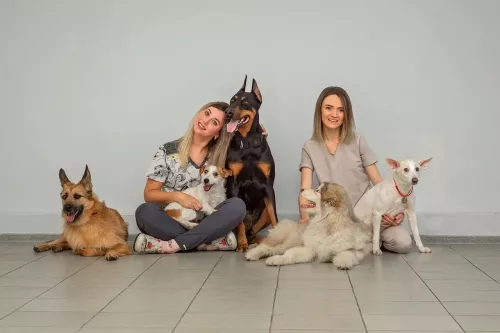 Ветеринарная клиника Надежда  в  Владивостоке