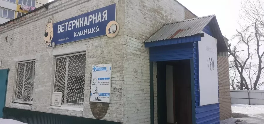 Ветеринарная клиника Ника в Владивостоке: Ветеринарная клиника, Ветклиника, Питомцы,