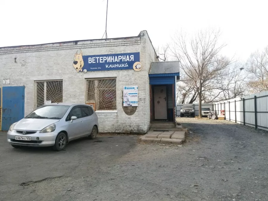Ветеринарная клиника Ника в Владивостоке: Ветеринарная клиника, Ветклиника, Питомцы,