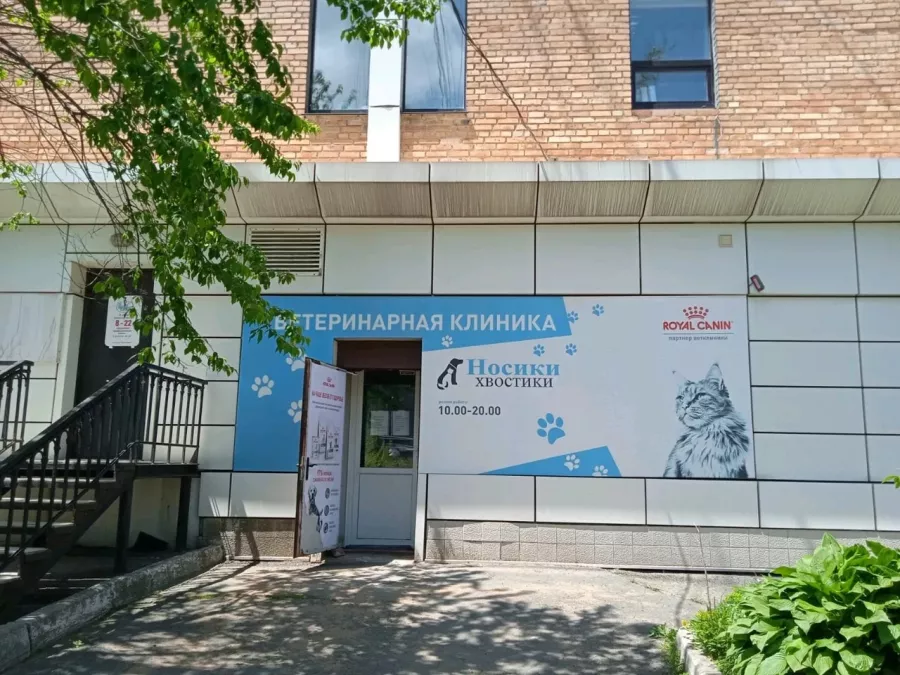 Ветеринарная клиника Носики Хвостики в Владивостоке: Ветеринарная клиника, Ветклиника, Питомцы, Ветеринарная лаборатория , Ветеринарная аптека,