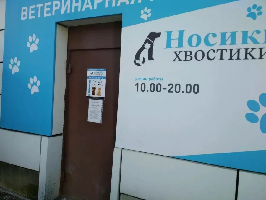 Ветеринарная клиника Носики Хвостики в Владивостоке: Ветеринарная клиника, Ветклиника, Питомцы, Ветеринарная лаборатория , Ветеринарная аптека,