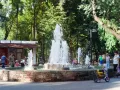 Миниатюра 4