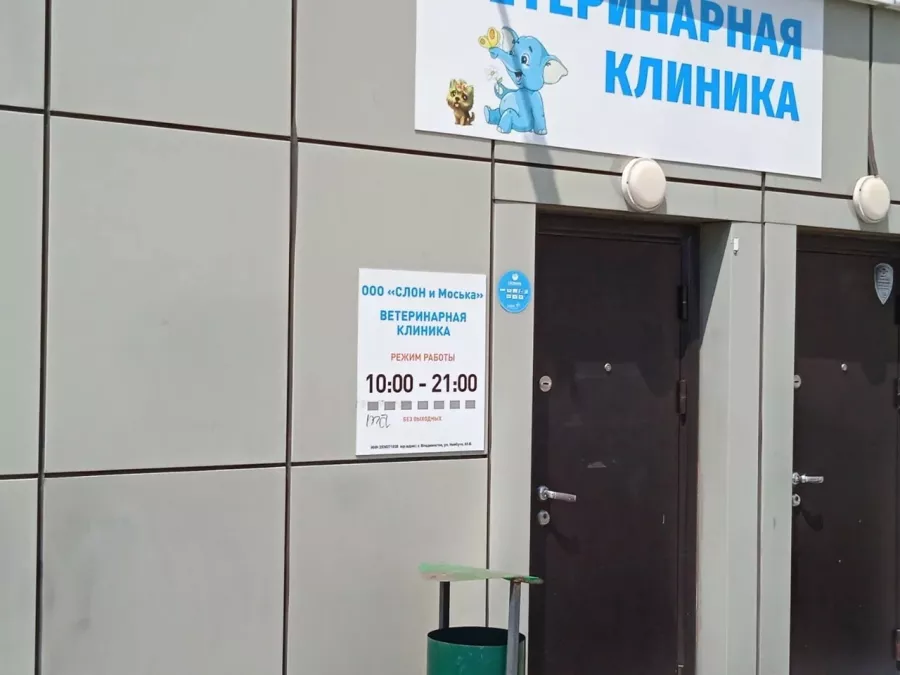 Ветеринарная клиника Слон и Моська в Владивостоке: Ветеринарная клиника, Ветклиника, Питомцы, Зоосалон, Гостиница для животных,