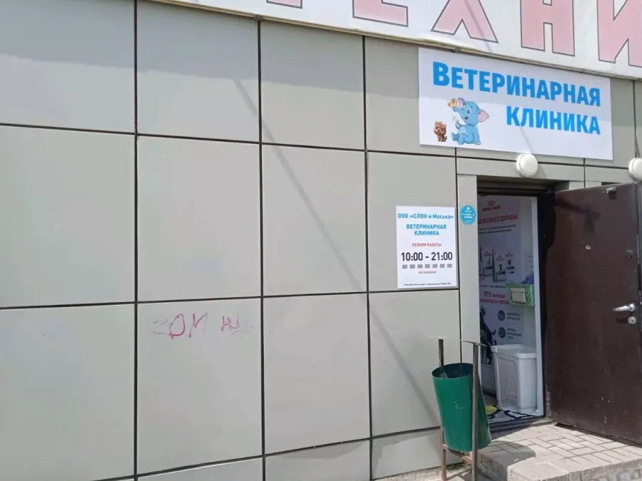 Ветеринарная клиника Слон и Моська в Владивостоке: Ветеринарная клиника, Ветклиника, Питомцы, Зоосалон, Гостиница для животных,