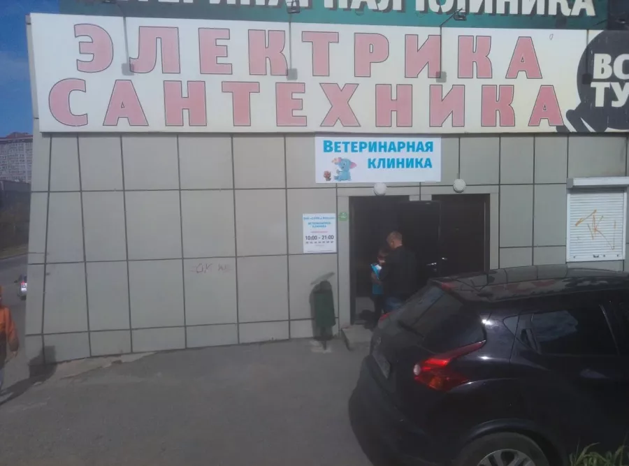 Ветеринарная клиника Слон и Моська в Владивостоке: Ветеринарная клиника, Ветклиника, Питомцы, Зоосалон, Гостиница для животных,