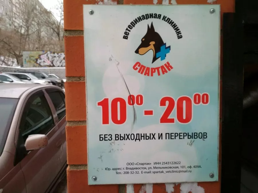 Ветеринарная клиника Спартак в Владивостоке: Ветеринарная клиника, Ветклиника, Питомцы,
