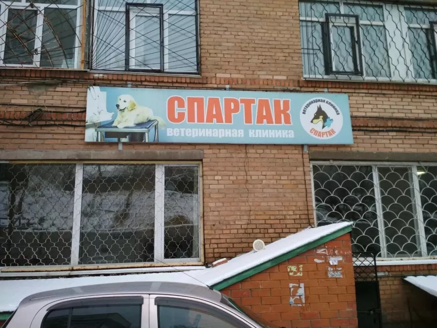 Ветеринарная клиника Спартак в Владивостоке: Ветеринарная клиника, Ветклиника, Питомцы,