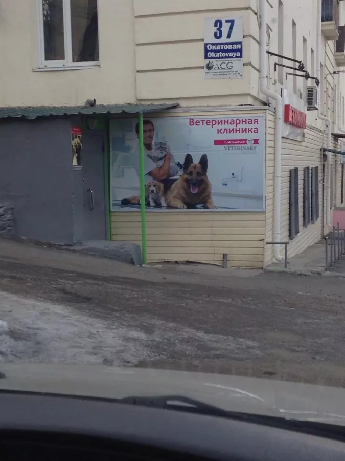 Ветеринарная клиника Территория животных в Владивостоке: Животные,