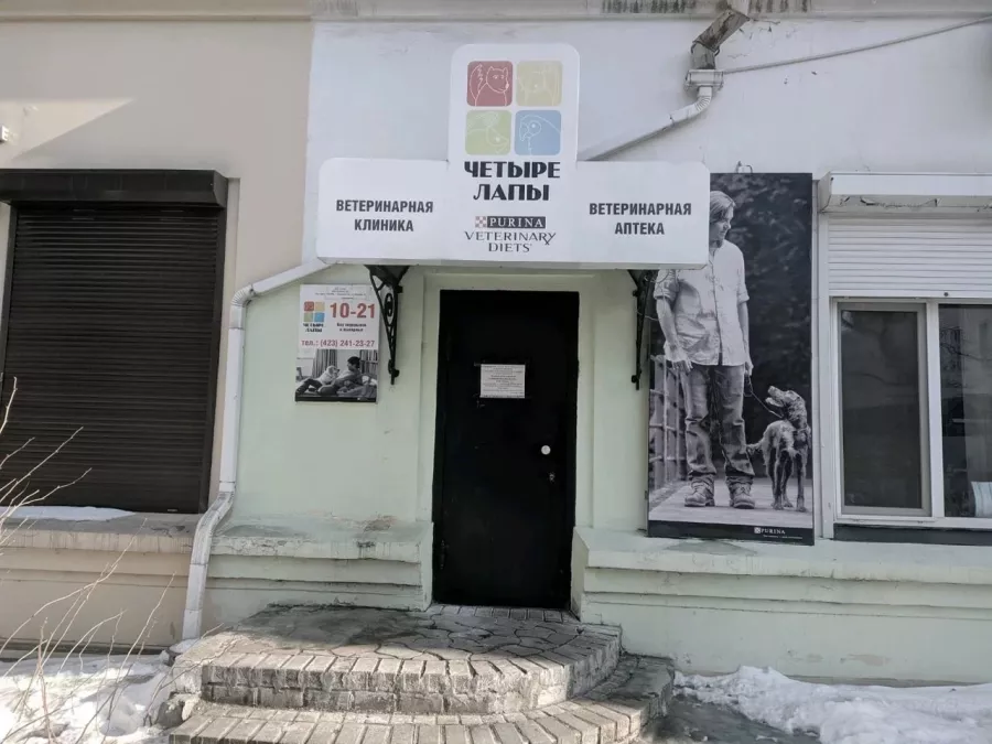 Ветеринарная клиника Четыре лапы в Владивостоке: Животные,