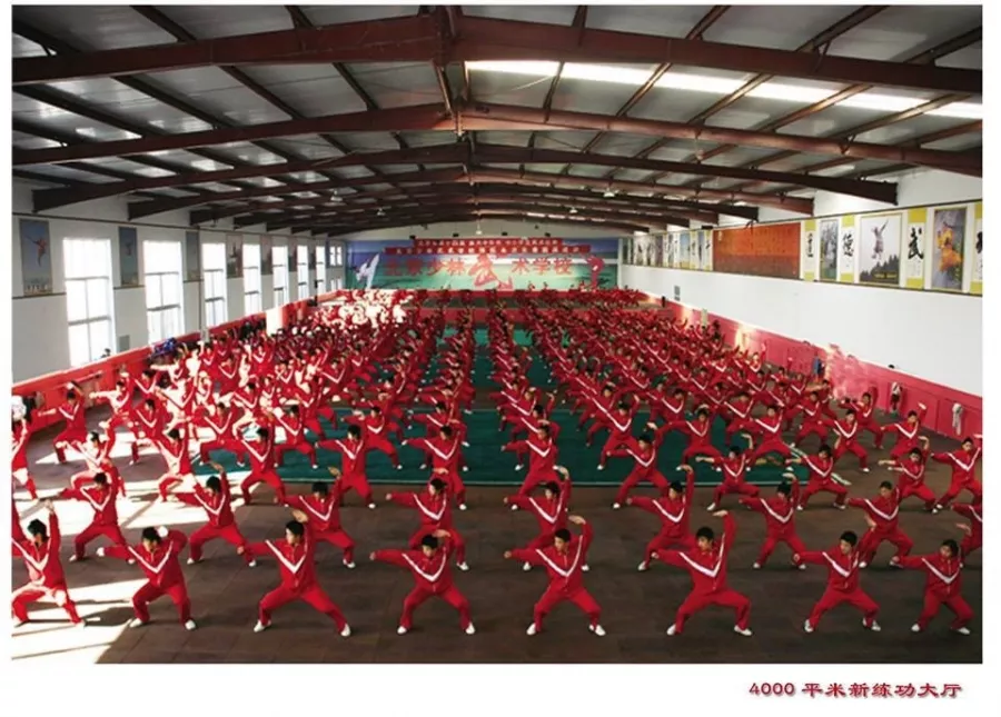 Школа боевых искусств Shaolin Wushu School in Beijing в Пекине: Школа, Боевые искусства, Развиваться,
