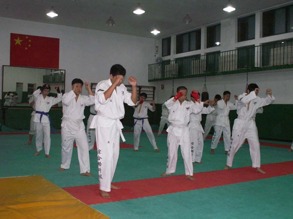 Школа боевых искусств Shichahai Sports School в Пекине: Развитие, Школа, Боевые искусства,