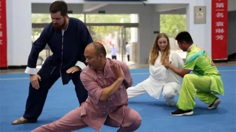 Школа боевых искусств Tagou Martial Arts School в Пекине: Школа, Боевые искусства, Общеобразовательная программа,