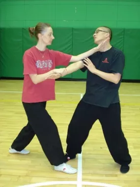 Школа боевых искусств «TianYi Kungfu Club»
