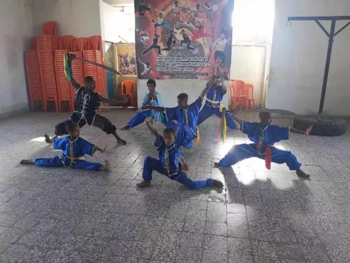 Школа боевых искусств «TianYi Kungfu Club»