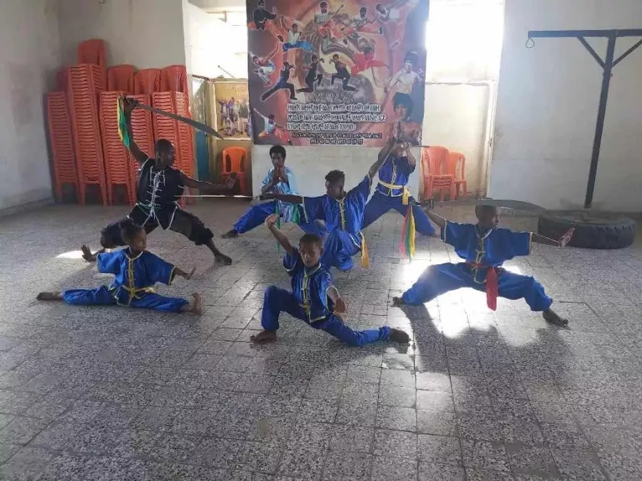Школа боевых искусств TianYi Kungfu Club в Пекине: Школа, Боевые искусства, Саморазвитие,