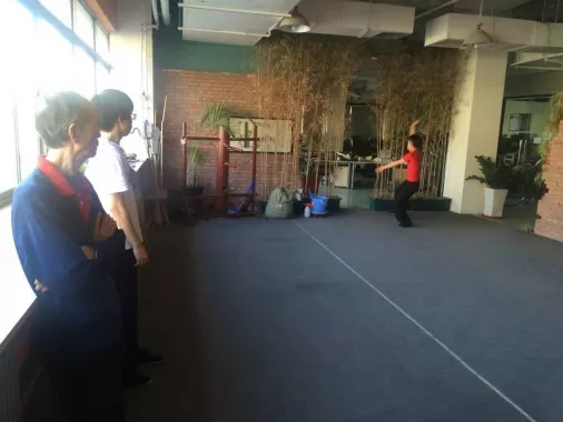 Школа боевых искусств «TianYi Kungfu Club»
