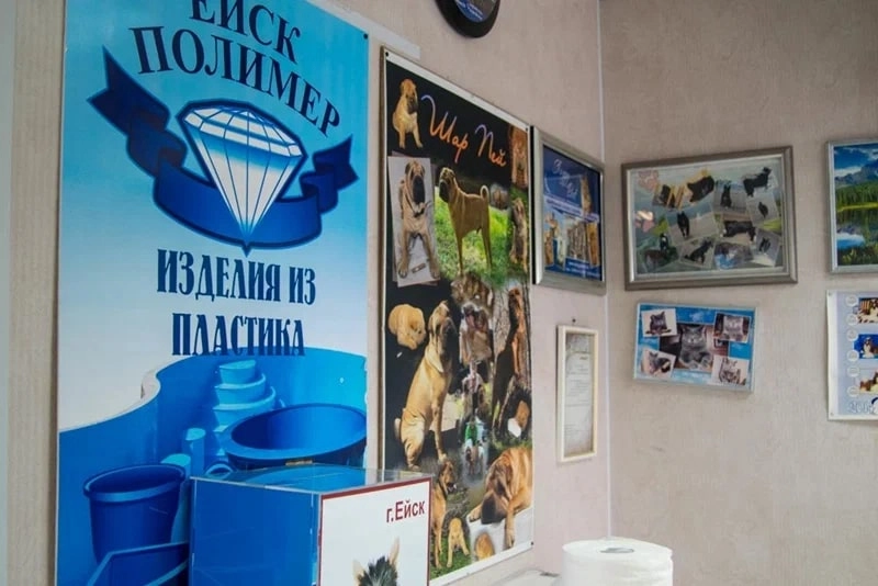 Ветеринарная клиника Ветеринар в Ейске: Животные,