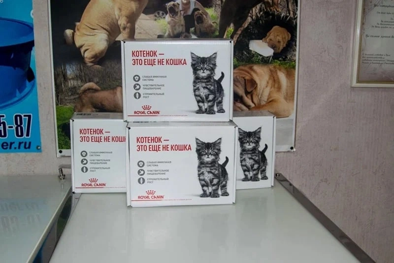 Ветеринарная клиника Ветеринар в Ейске: Животные,