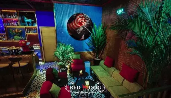 Бар «Red Dog»