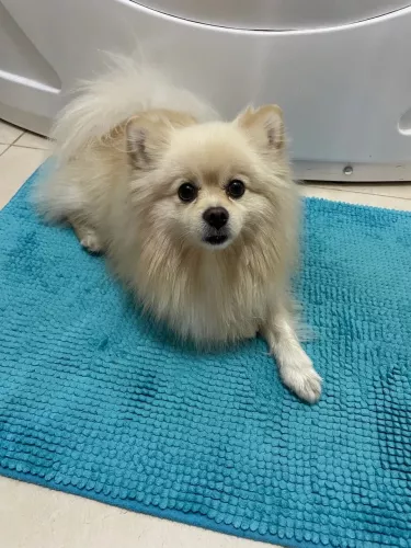 Ветеринарная клиника Зоомир  в  Ейске