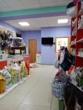 Миниатюра 3