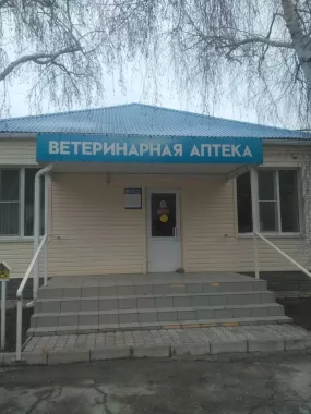 Ветеринарная клиника "Кот и пес"