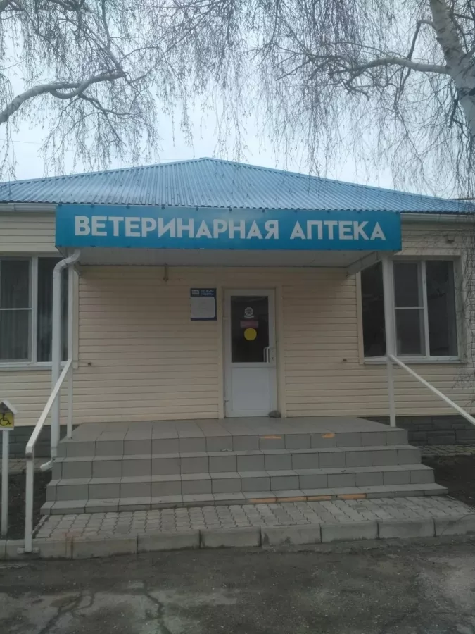 Ветеринарная клиника Кот и пес в Ейске: Ветеринарная клиника, Ветклиника, Любимцы,