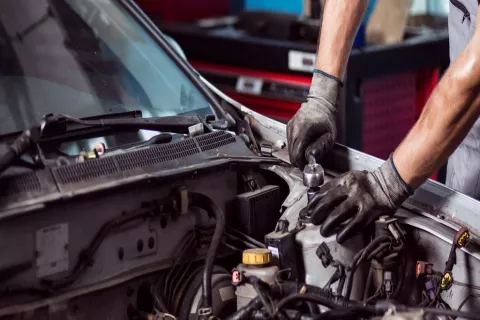 Фото 2