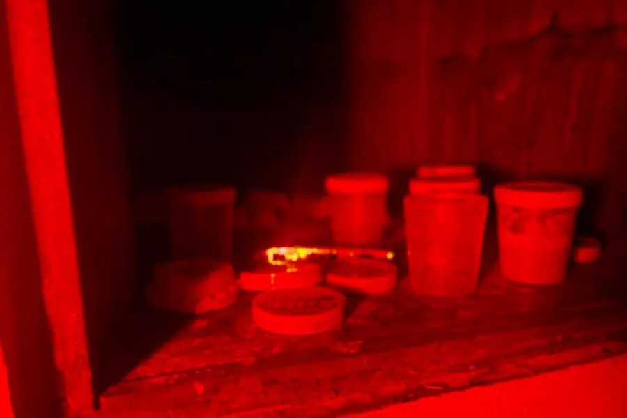 Квест Мертвая зона 51 в Ростове-на-Дону: Квест, Развлечение, Логические Квесты,