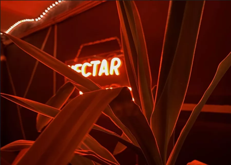 Студия звукозаписи Nectar Sound в Санкт-Петербурге: Музыкально, Музыкальная студия, Студия звукозаписи, Студии звукозаписи в питере, Студия музыки , Студия музыкальная , Записать трек, Трек с нуля, Сведение, Сведение трека,