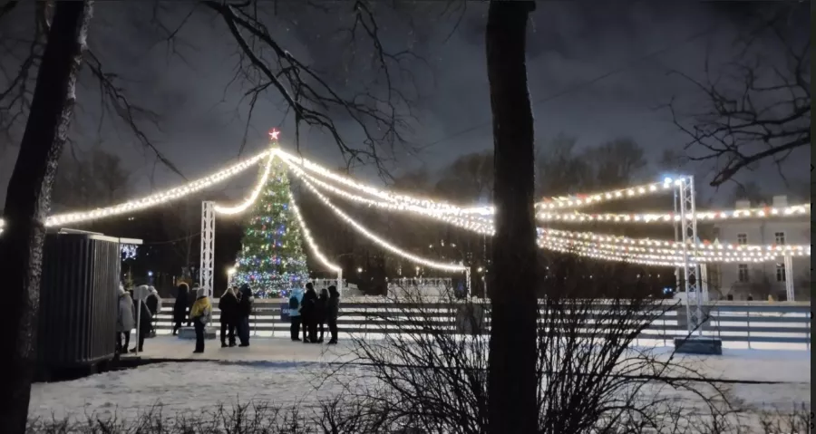 Ледовый каток Зимний каток Центральный парк культуры и отдыха им. С.М. Кирова в Санкт-Петербурге: Развитие, Лед, Каток,