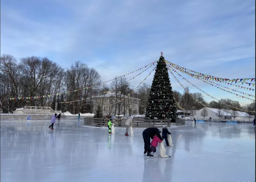 Ледовый каток Зимний каток Центральный парк культуры и отдыха им. С.М. Кирова в Санкт-Петербурге: Развитие, Лед, Каток,