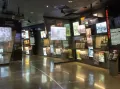 Миниатюра 4