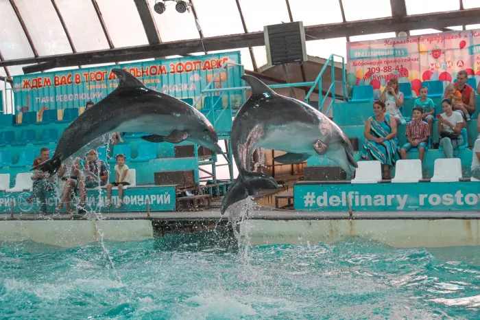 "Дельфинарий"