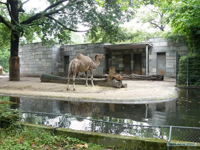 "Ростовский-на-Дону зоопарк"