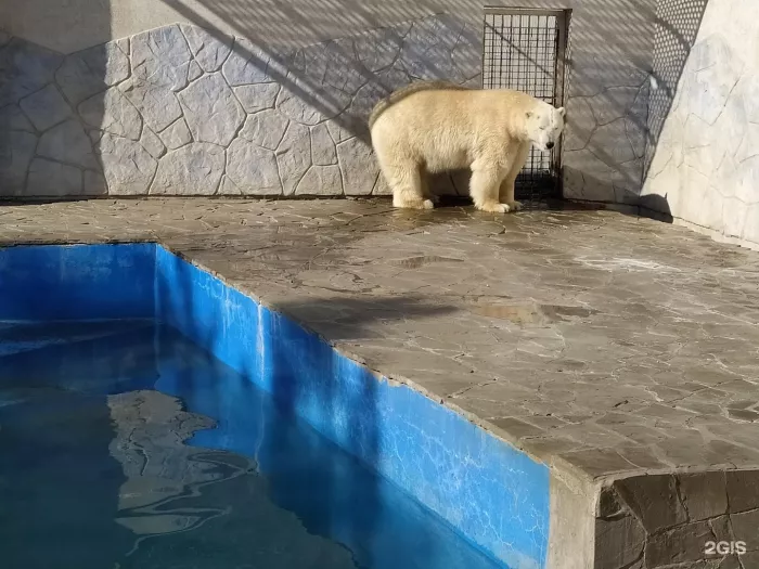 "Ростовский-на-Дону зоопарк"