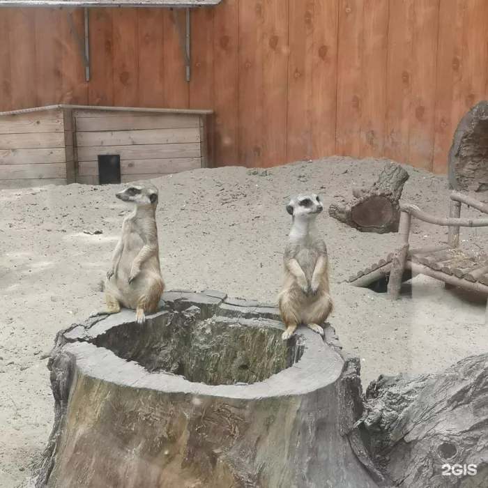 "Ростовский-на-Дону зоопарк"