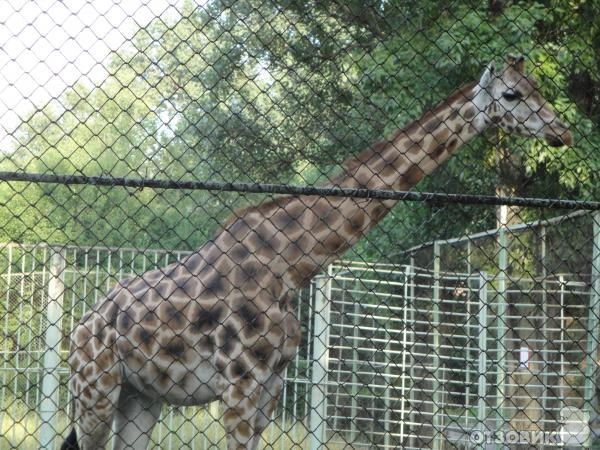 "Ростовский-на-Дону зоопарк"