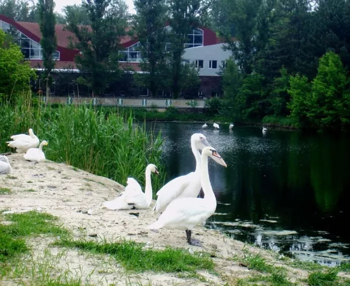 "Ростовский-на-Дону зоопарк"