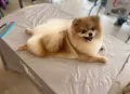 Миниатюра 7