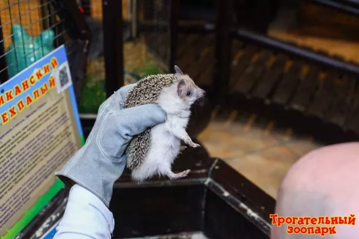 "Трогательный Зоопарк"