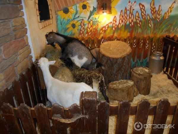 "Трогательный Зоопарк"