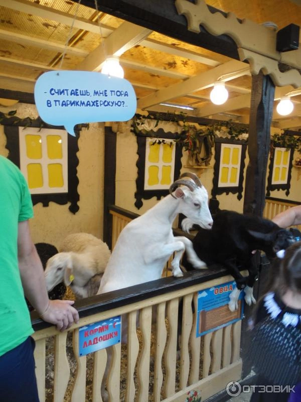 "Трогательный Зоопарк"