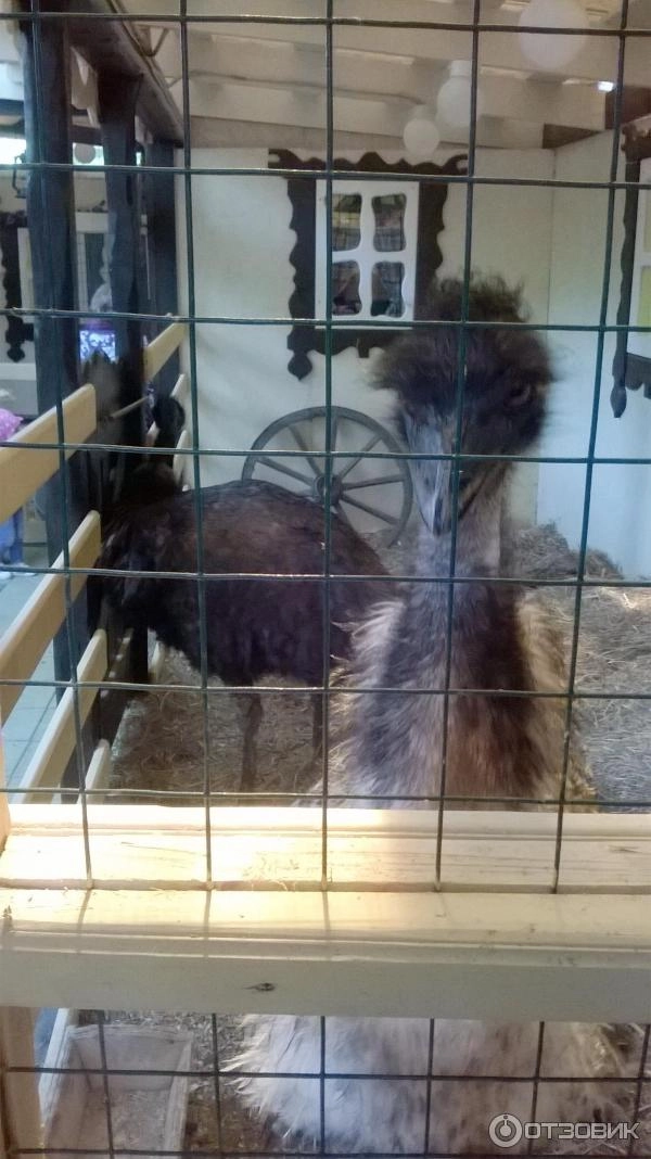 "Трогательный Зоопарк"