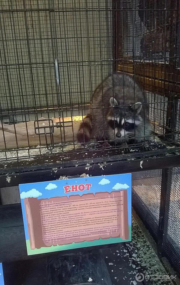 "Трогательный Зоопарк"